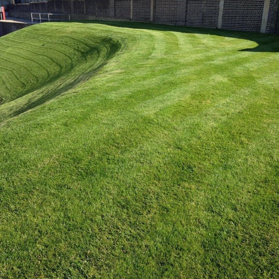 garden maintenance contracts