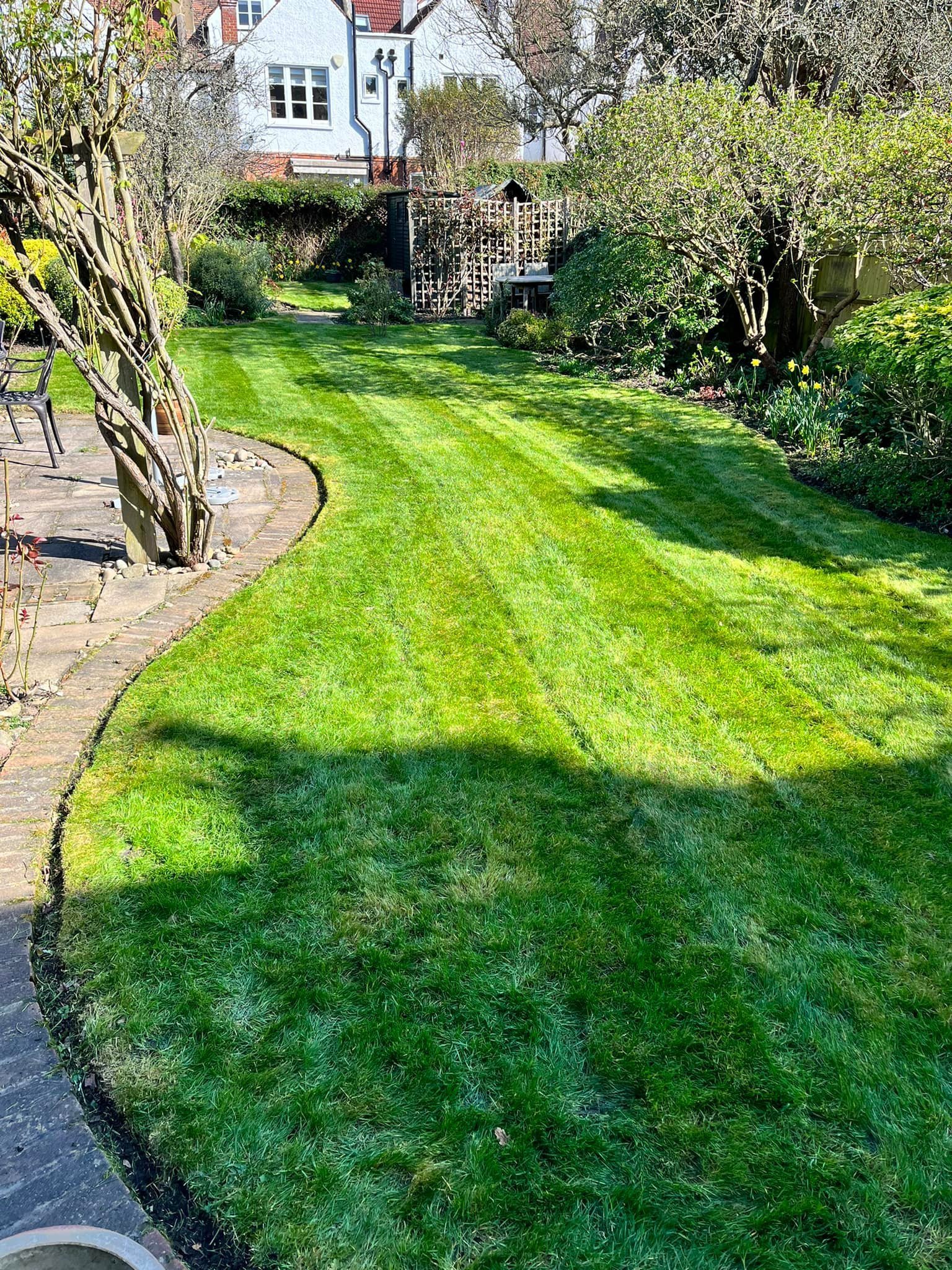 Garden Design & Landscaping Project