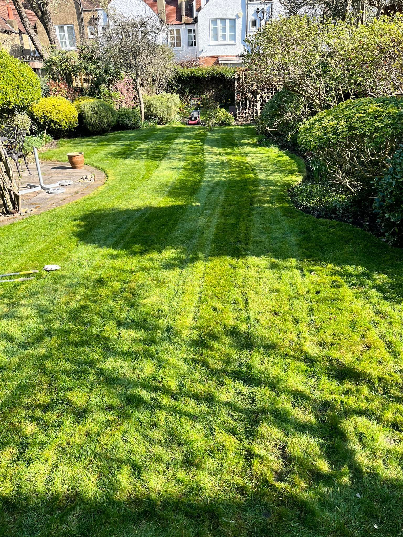 Garden Design & Landscaping Project