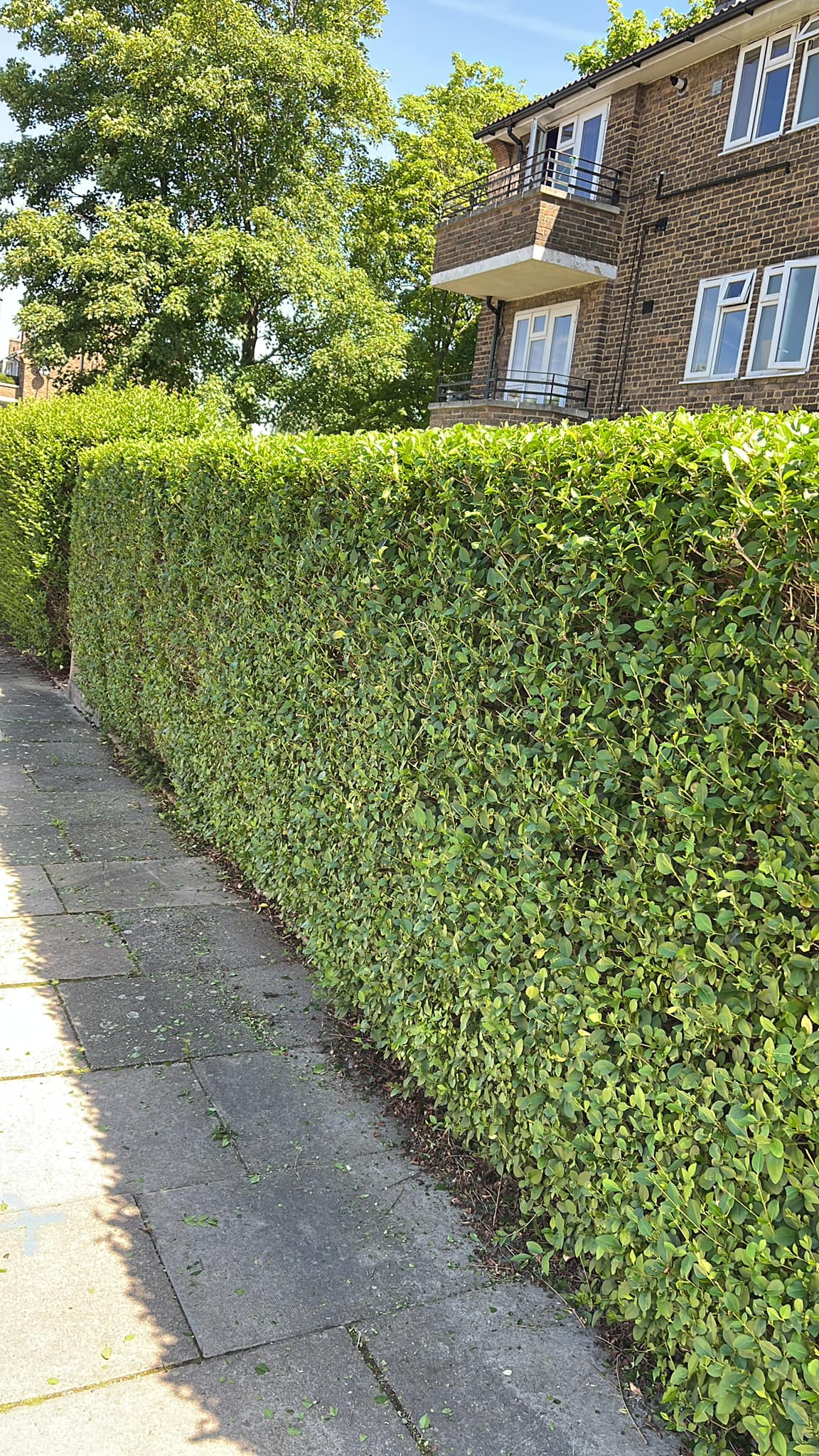 Garden Design & Landscaping Project
