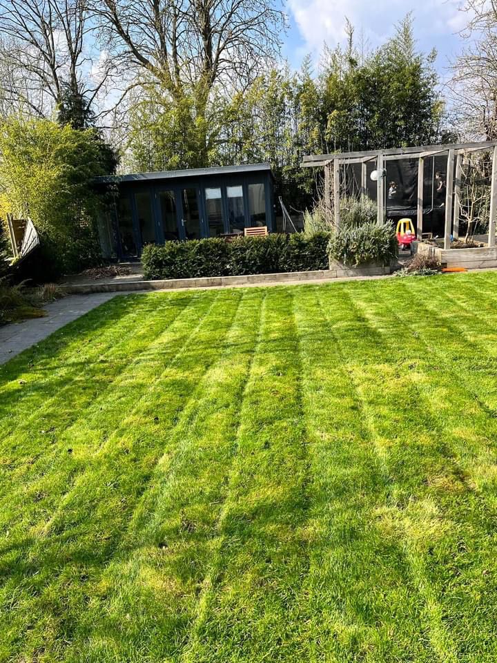 Garden Design & Landscaping Project
