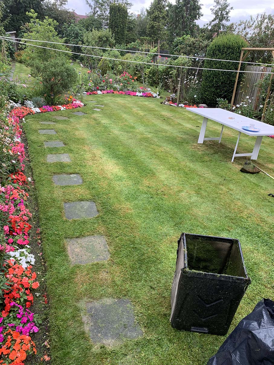 Garden Design & Landscaping Project