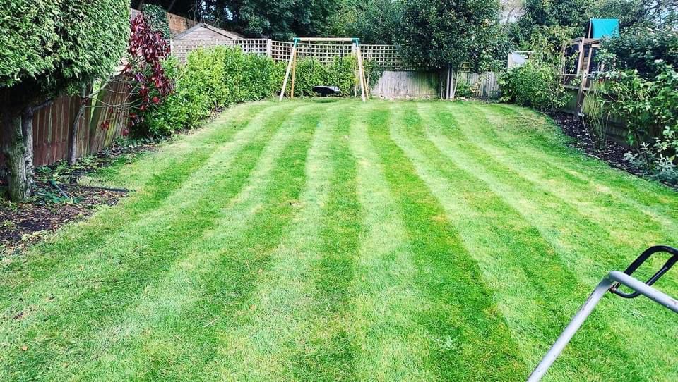 Garden Design & Landscaping Project