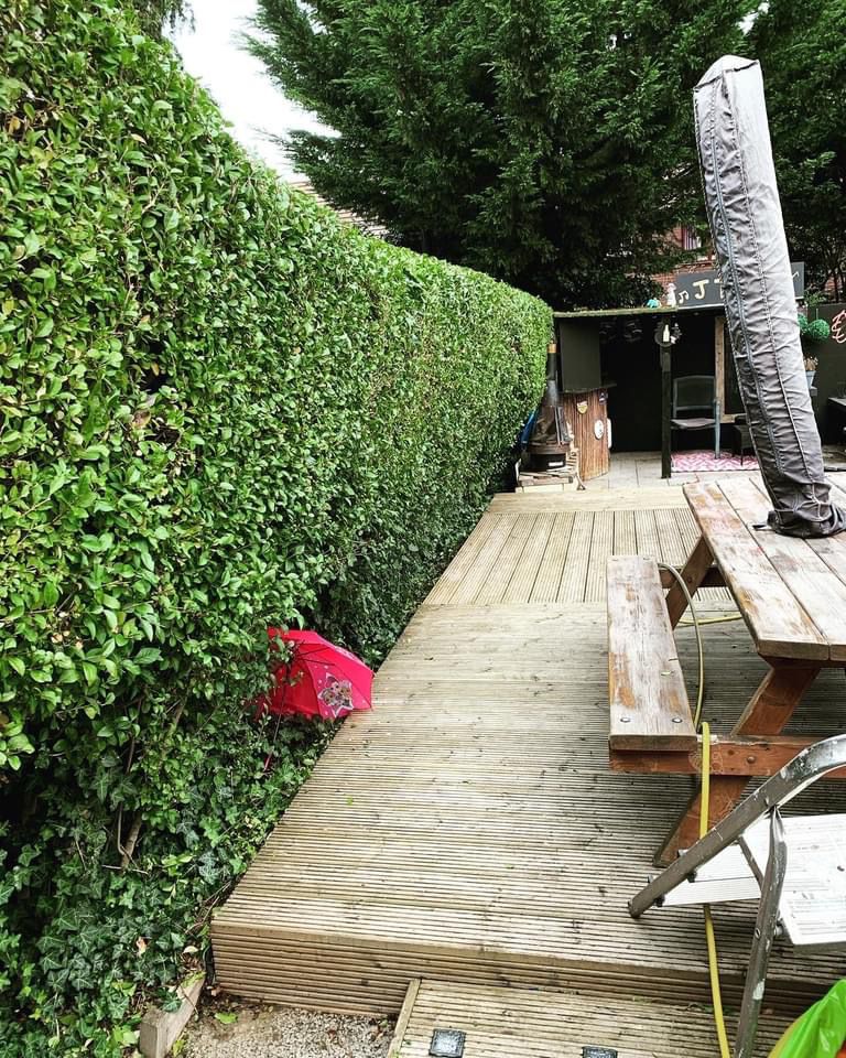 Garden Design & Landscaping Project