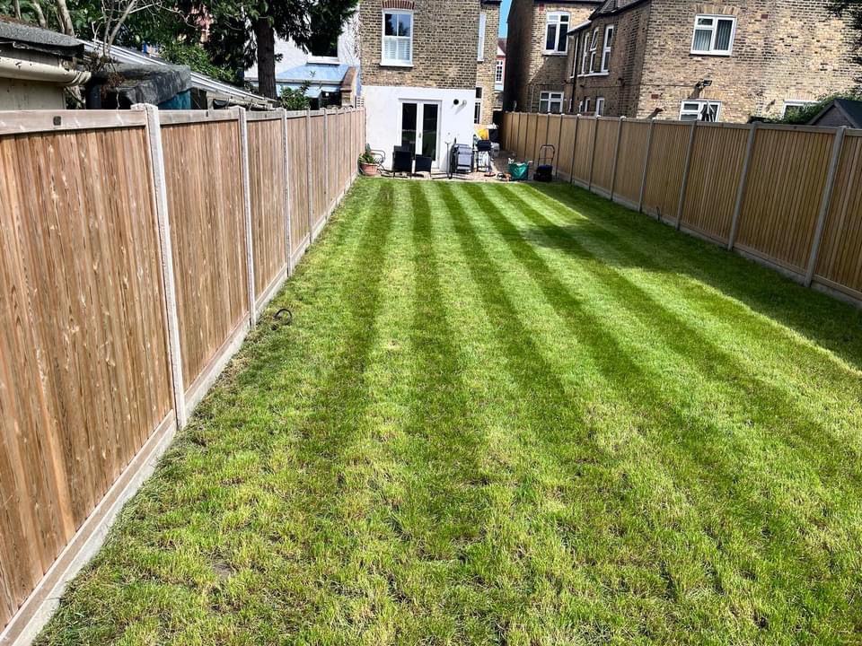 Garden Design & Landscaping Project