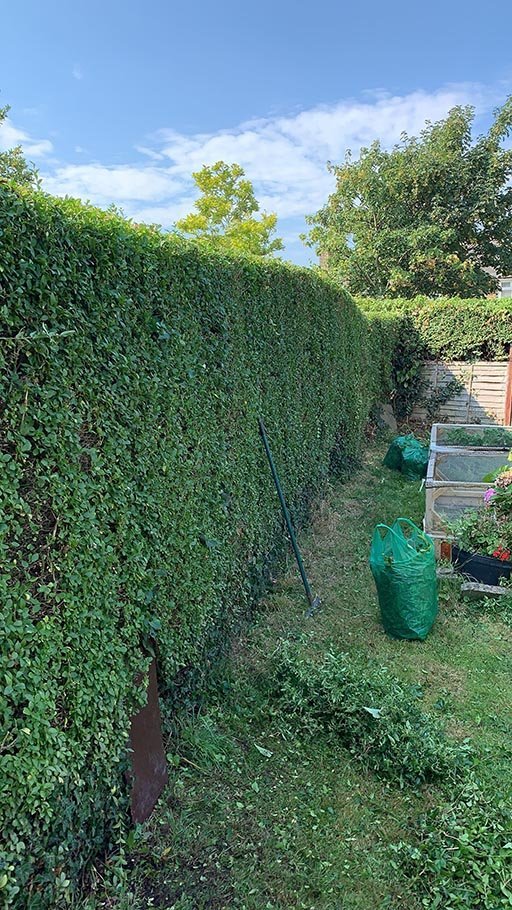 Garden Design & Landscaping Project